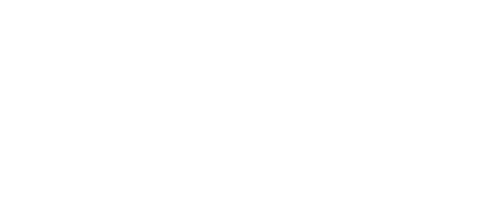Guillermo Taboada Interim Manager